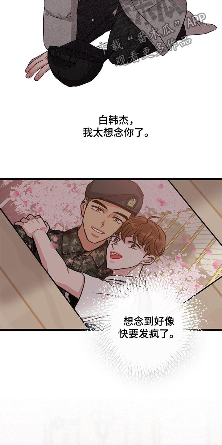 《可爱铃铛》第64章【第一季完结】出国 第5页