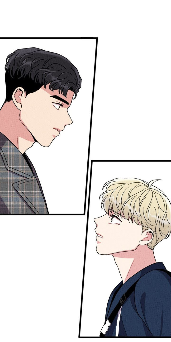 《可爱铃铛》第72章【第二季】变淡了 第1页