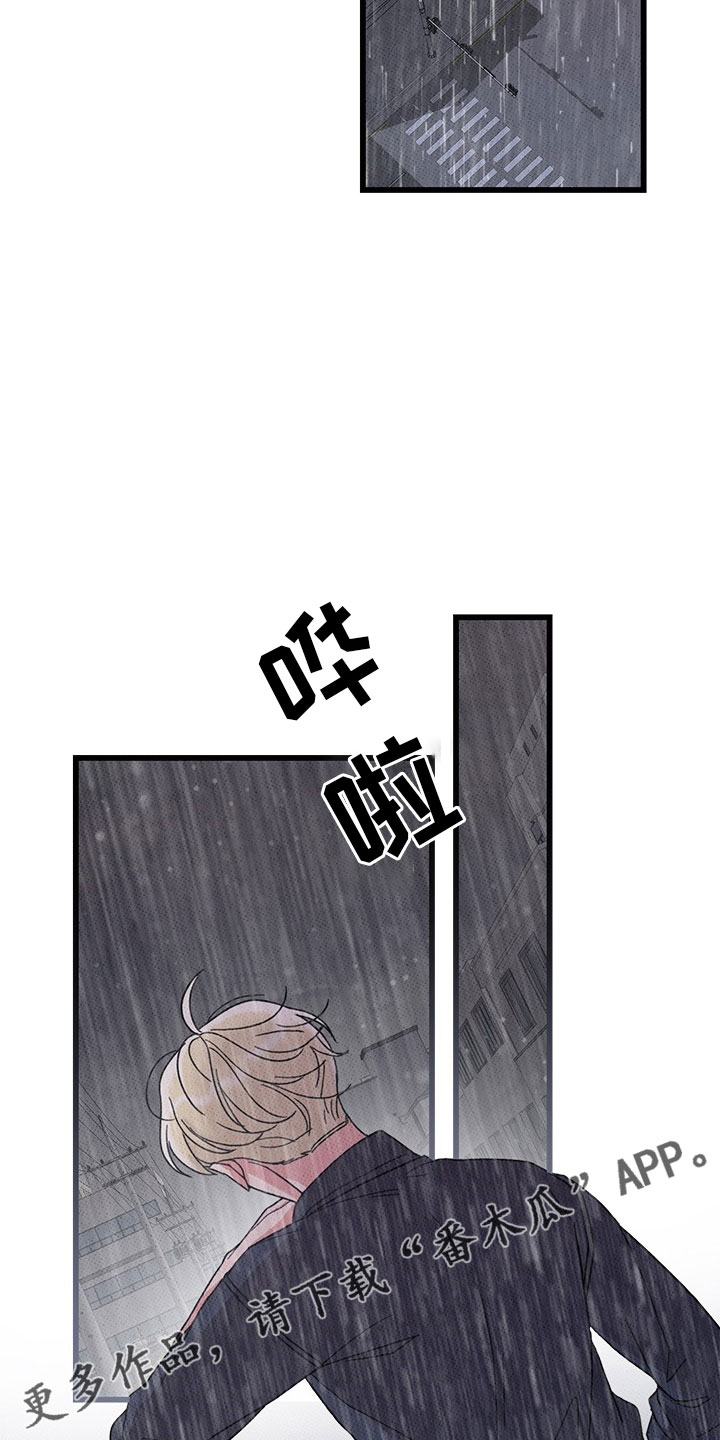 《可爱铃铛》第75章【第二季】够了 第33页