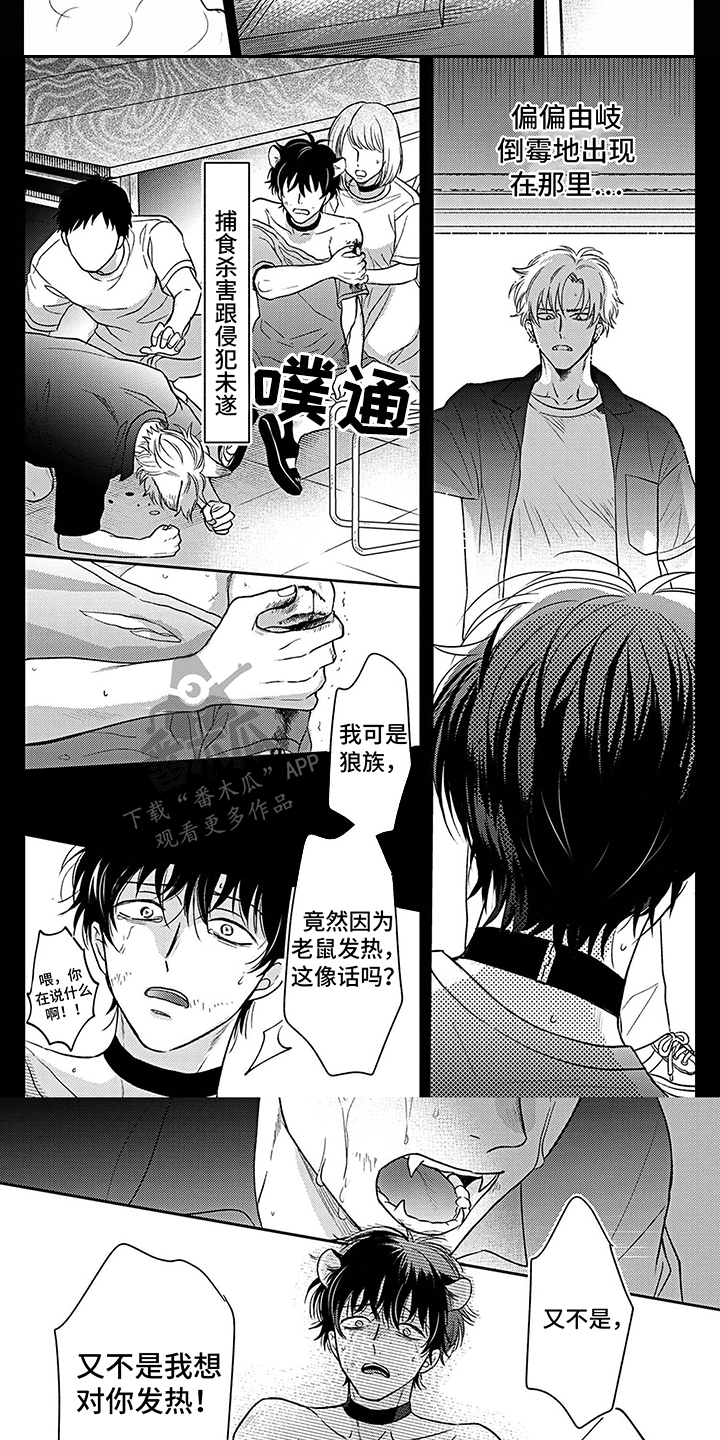 《欧米茄让我流泪》第9章往事 第6页