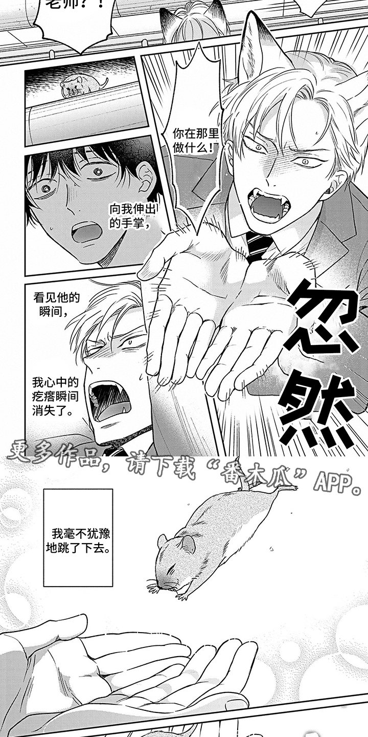 《欧米茄让我流泪》第17章真心话 第2页