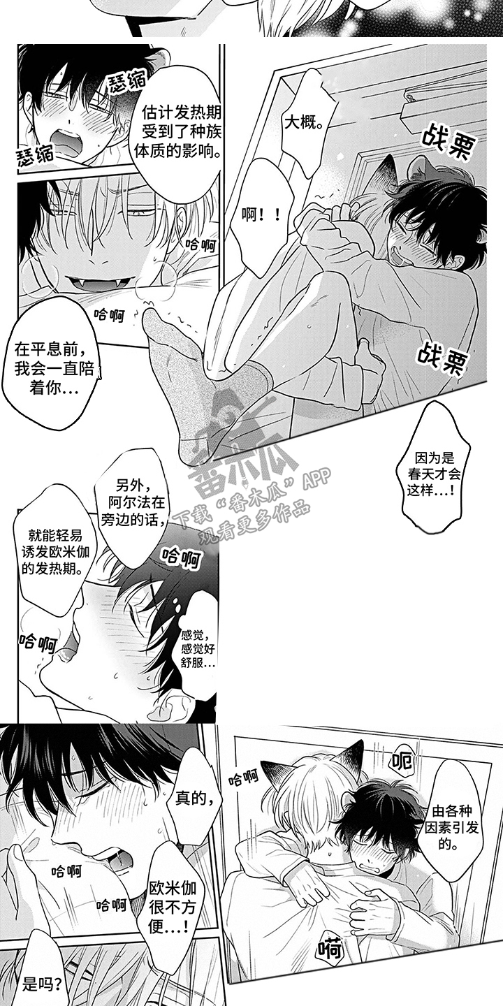 《欧米茄让我流泪》第21章害羞了 第6页