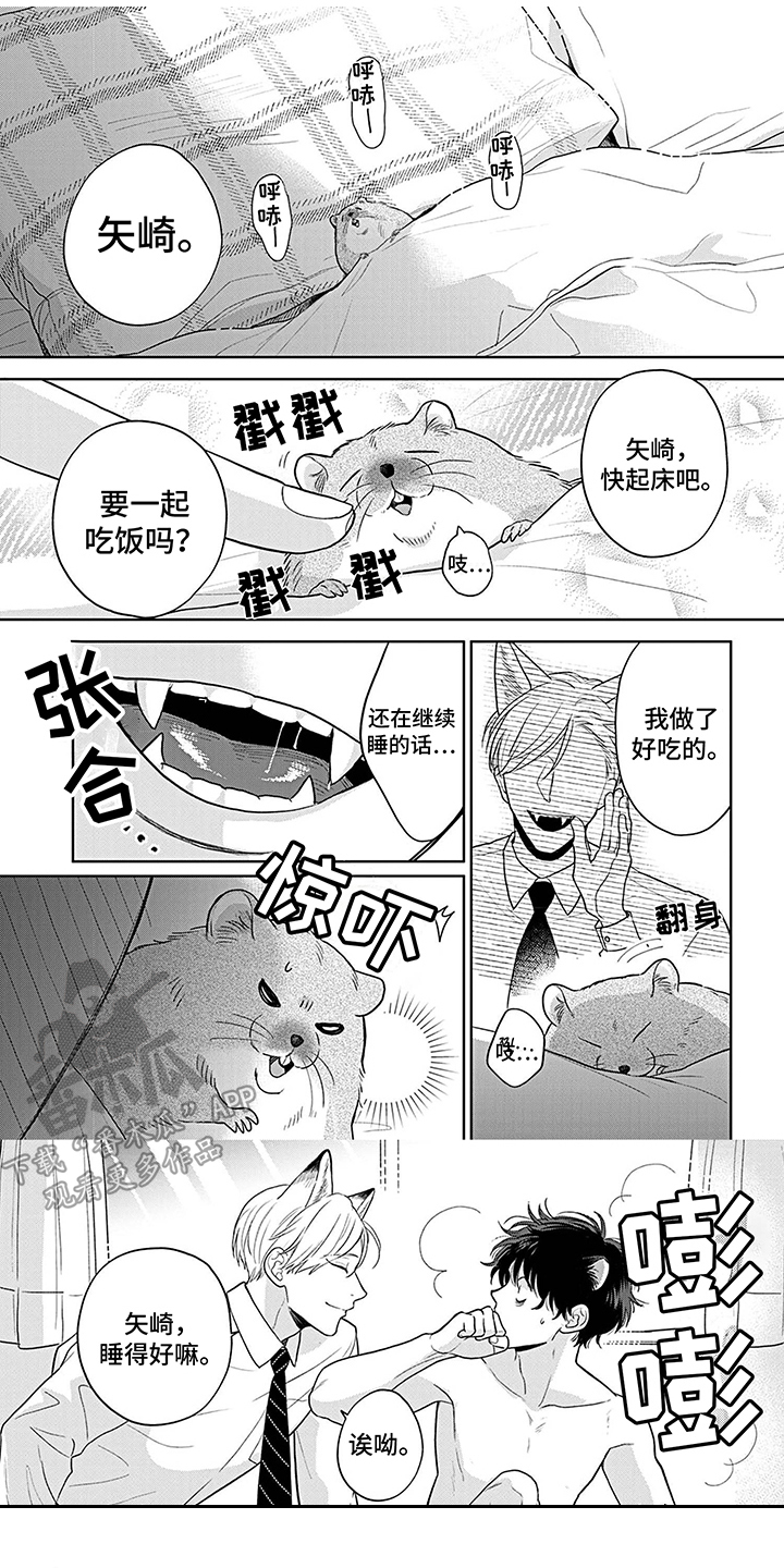 《欧米茄让我流泪》第19章恋人关系 第1页