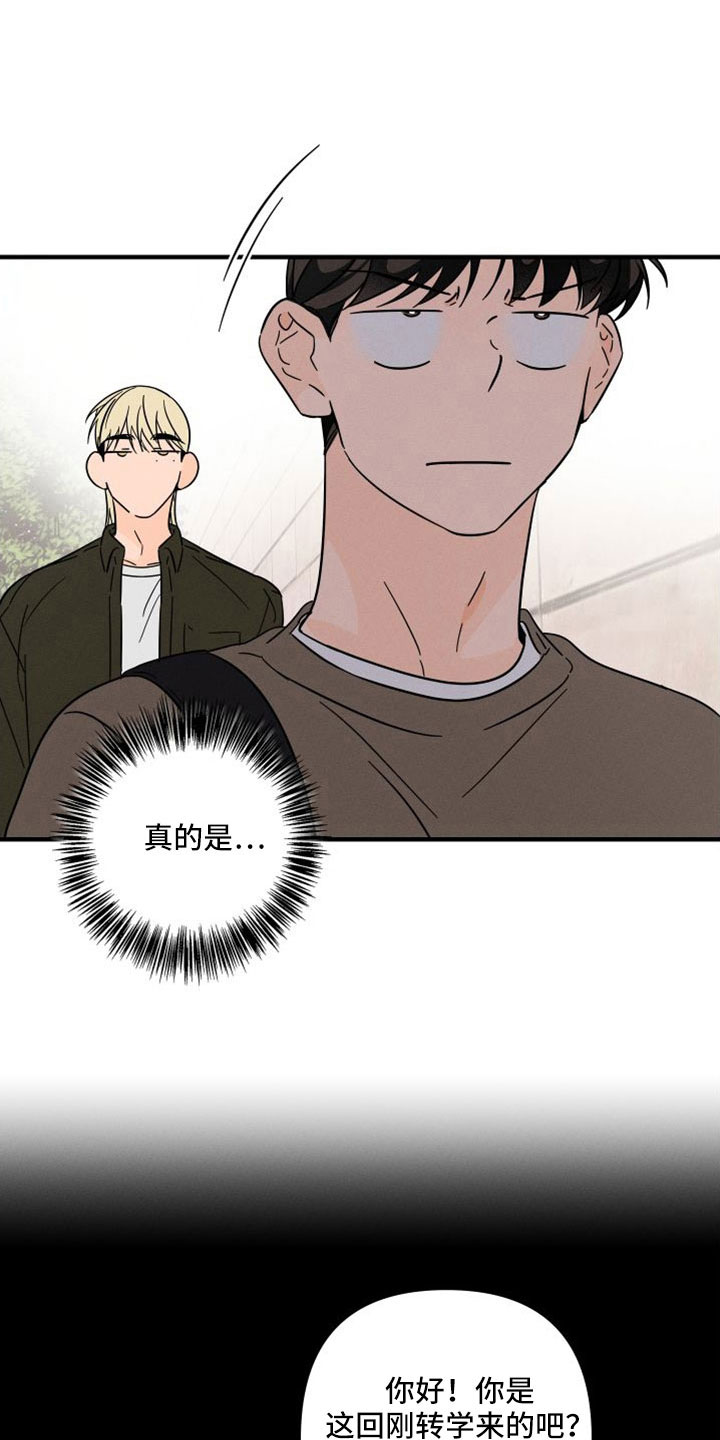 《耳边轻语》第78章【番外】像吃醋一样 第15页