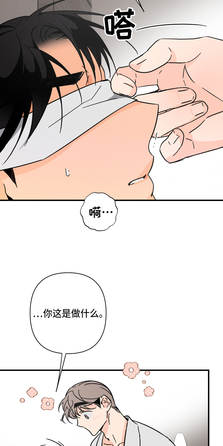 《耳边轻语》第73章【番外】搞什么 第5页