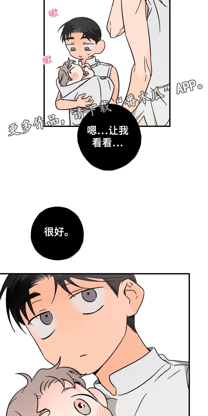 《耳边轻语》第68章【番外】保护神 第13页