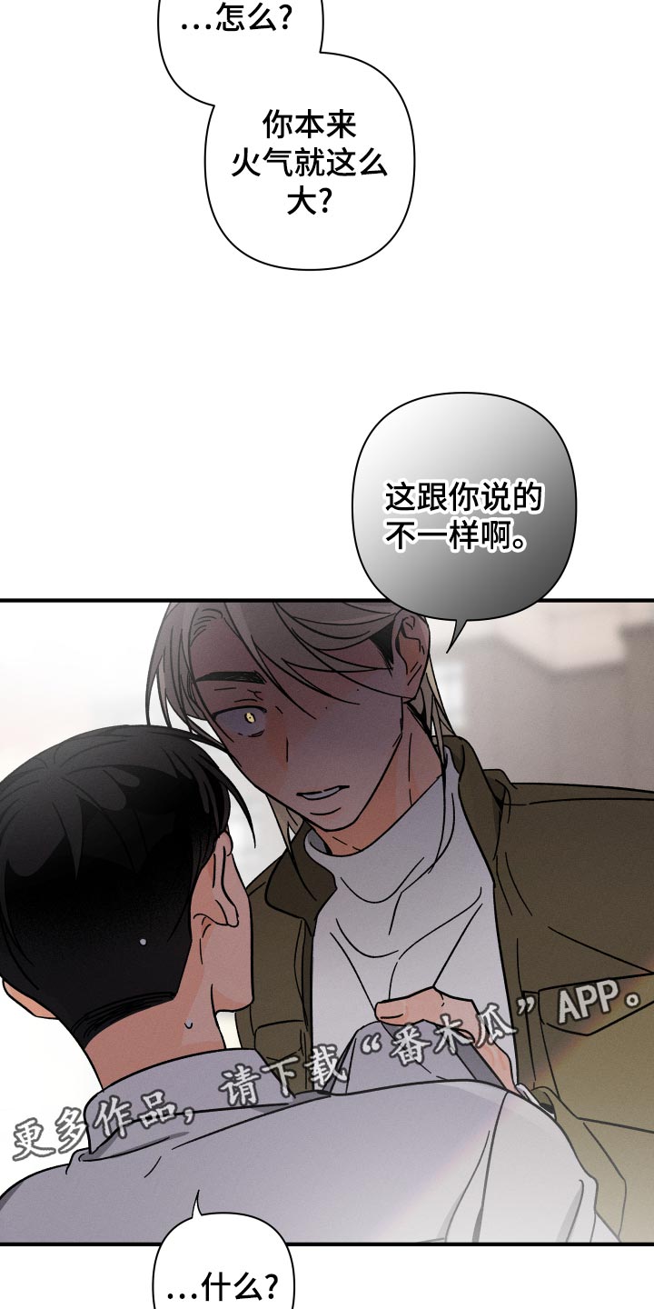 《耳边轻语》第63章【番外】上车 第14页