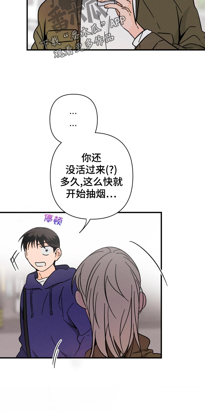 《耳边轻语》第63章【番外】上车 第6页