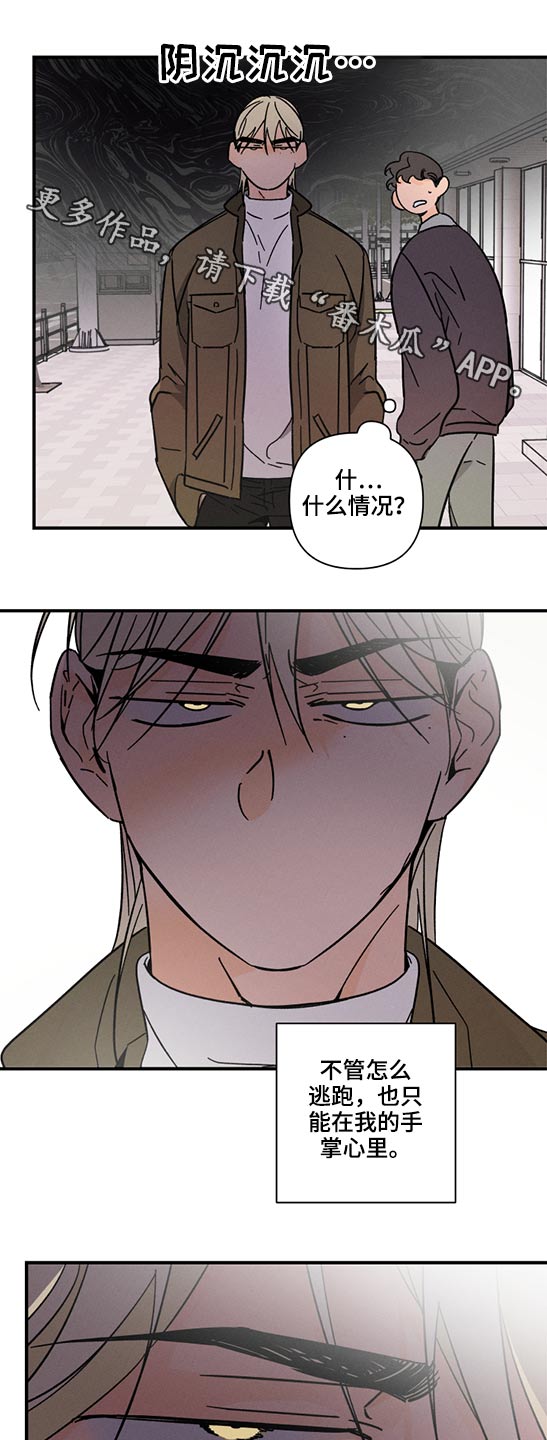 《耳边轻语》第61章拥抱而上【完结】 第1页