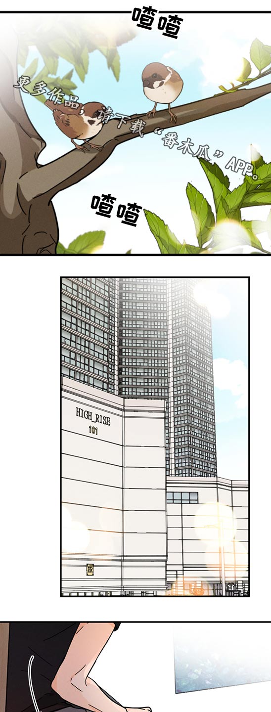 《耳边轻语》第60章无法联系 第1页