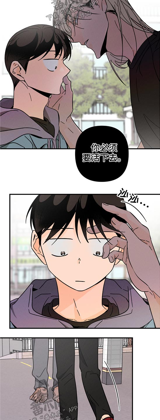《耳边轻语》第56章时间不多了 第11页