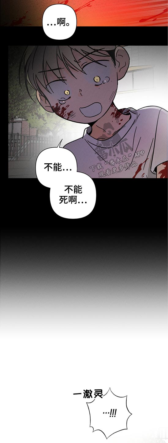 《耳边轻语》第56章时间不多了 第6页