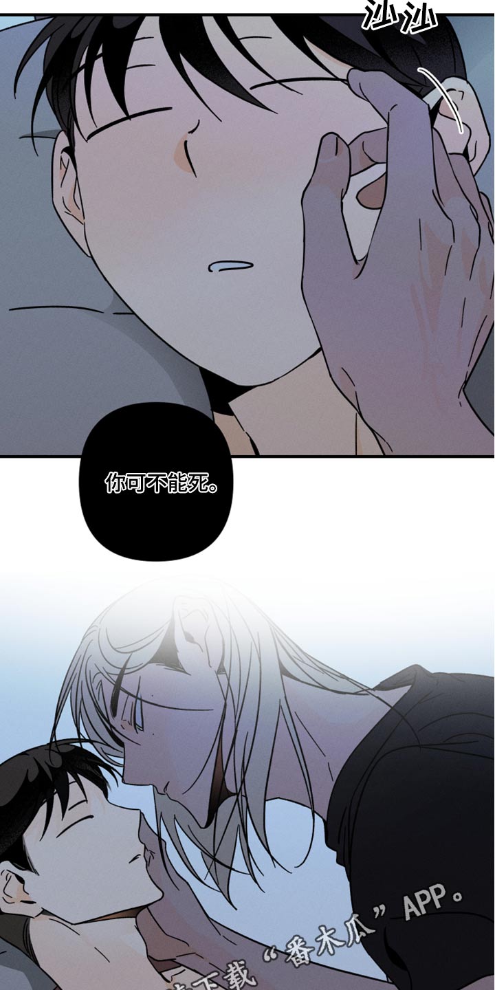 《耳边轻语》第54章不能死 第19页