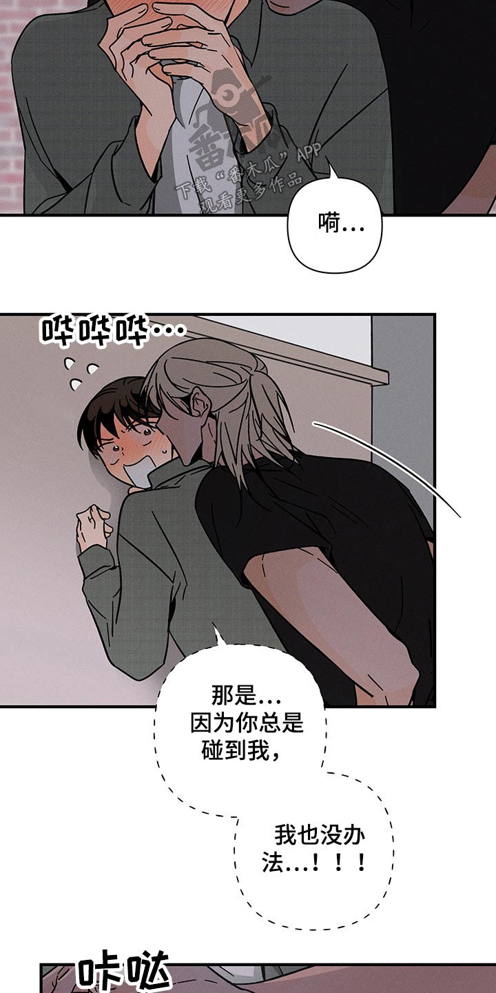 《耳边轻语》第52章监视 第5页