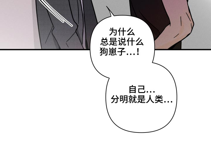 《耳边轻语》第53章等价交换 第13页