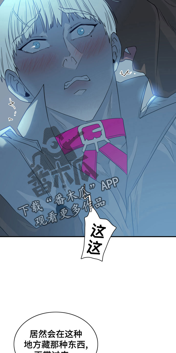 《黑夜撒旦》第280章【番外】遥控器 第19页
