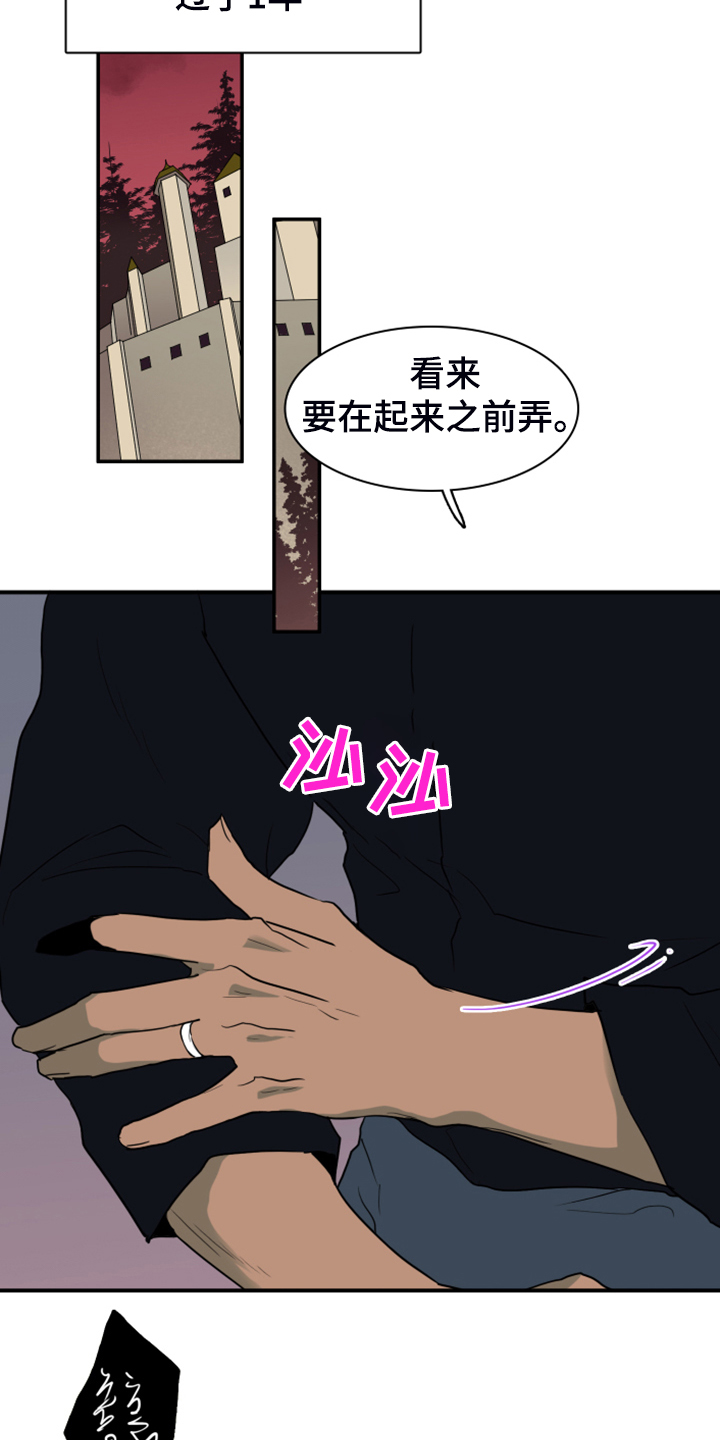 《黑夜撒旦》第255章【番外】更重要的事 第16页