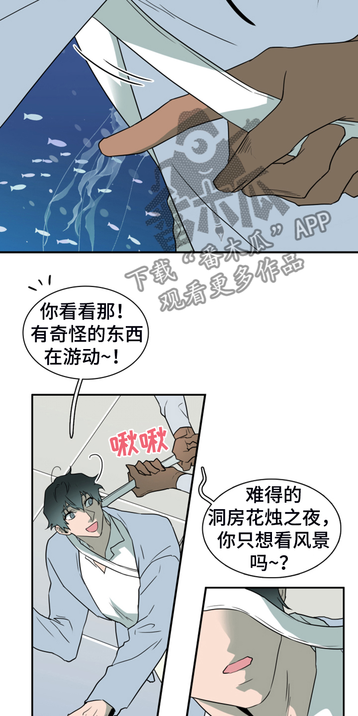 《黑夜撒旦》第252章【番外】期待的洞房 第19页