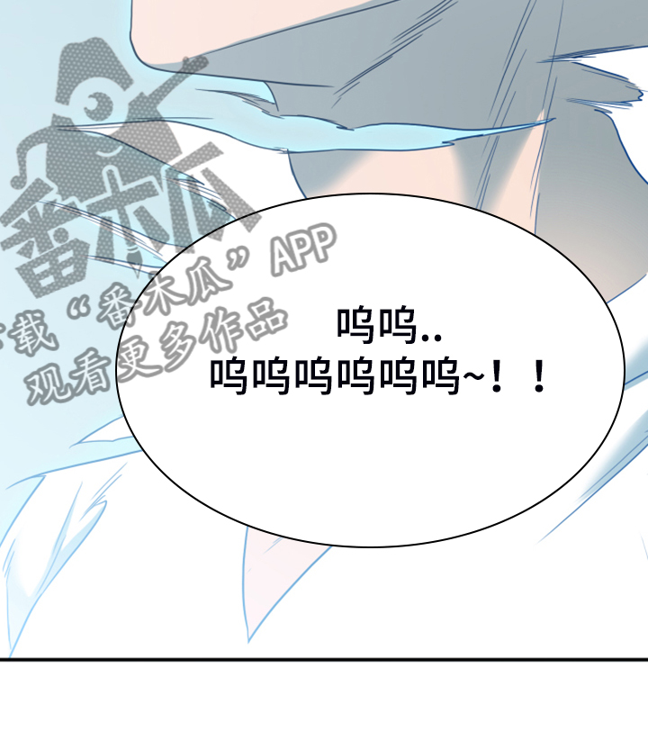 《黑夜撒旦》第247章不要忘记我 第21页