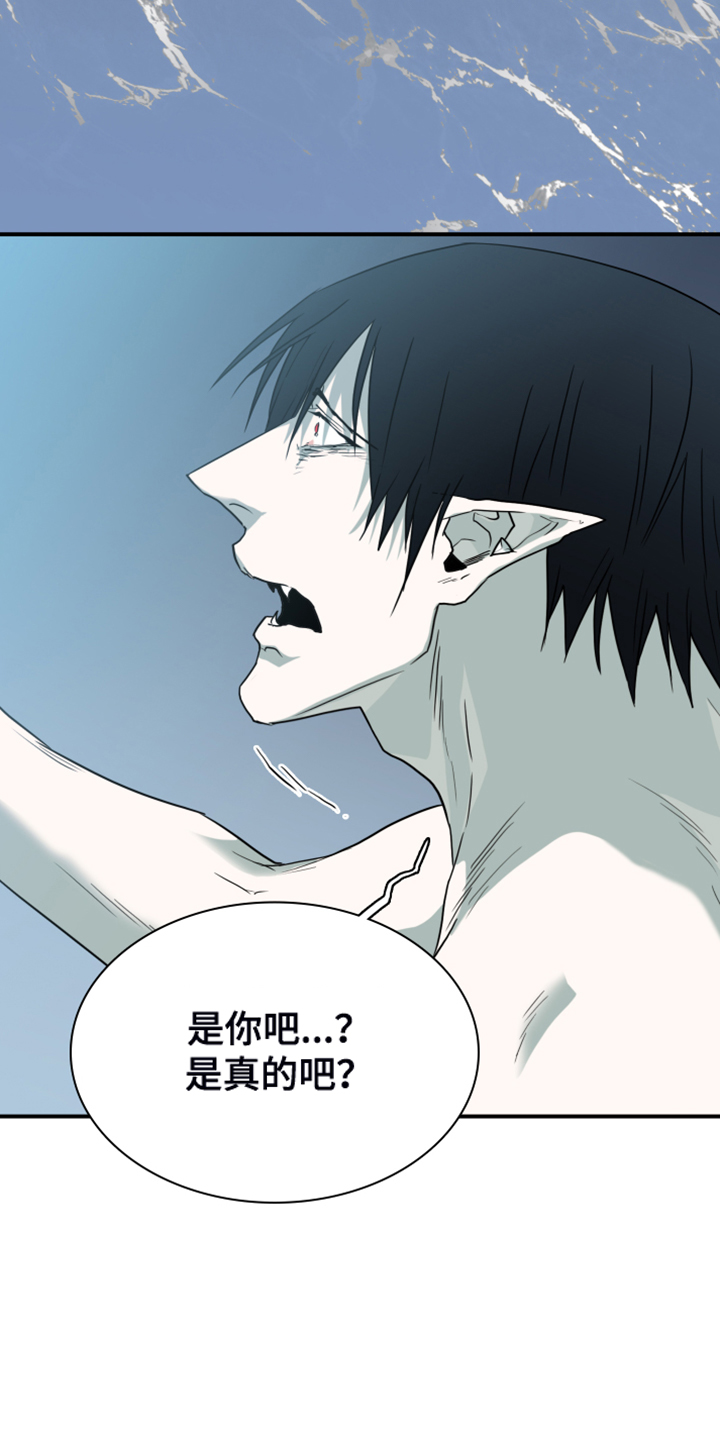《黑夜撒旦》第246章回归于无 第3页
