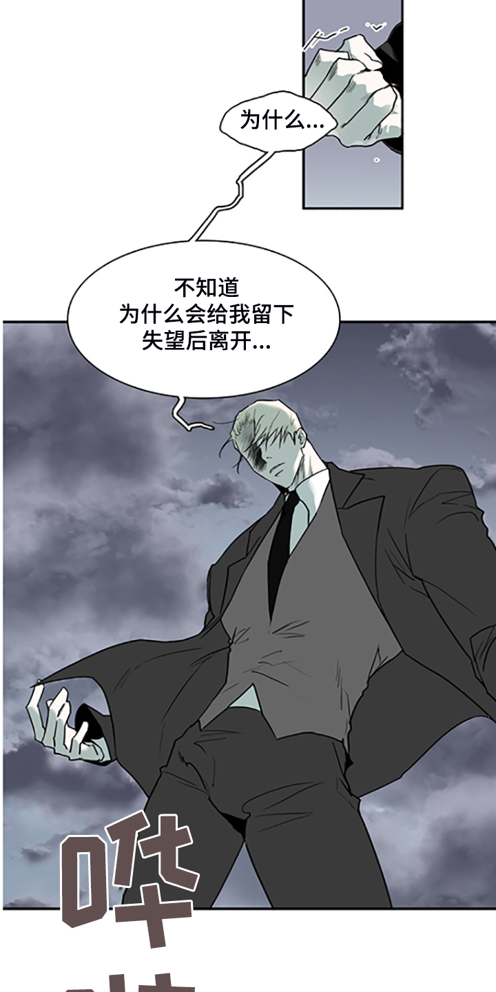 《黑夜撒旦》第239章心有多痛 第13页