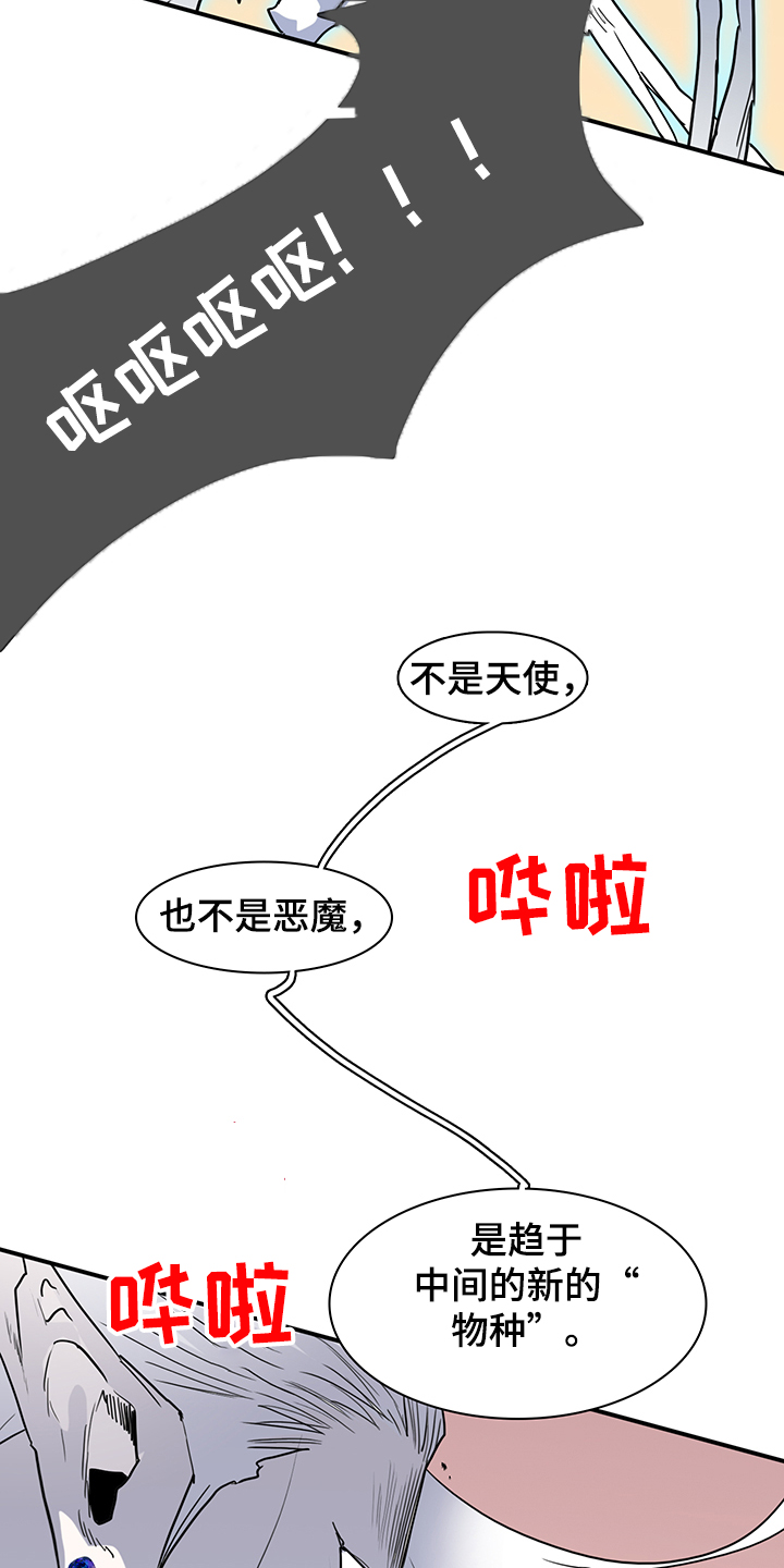 《黑夜撒旦》第235章天使与恶魔的合作 第15页