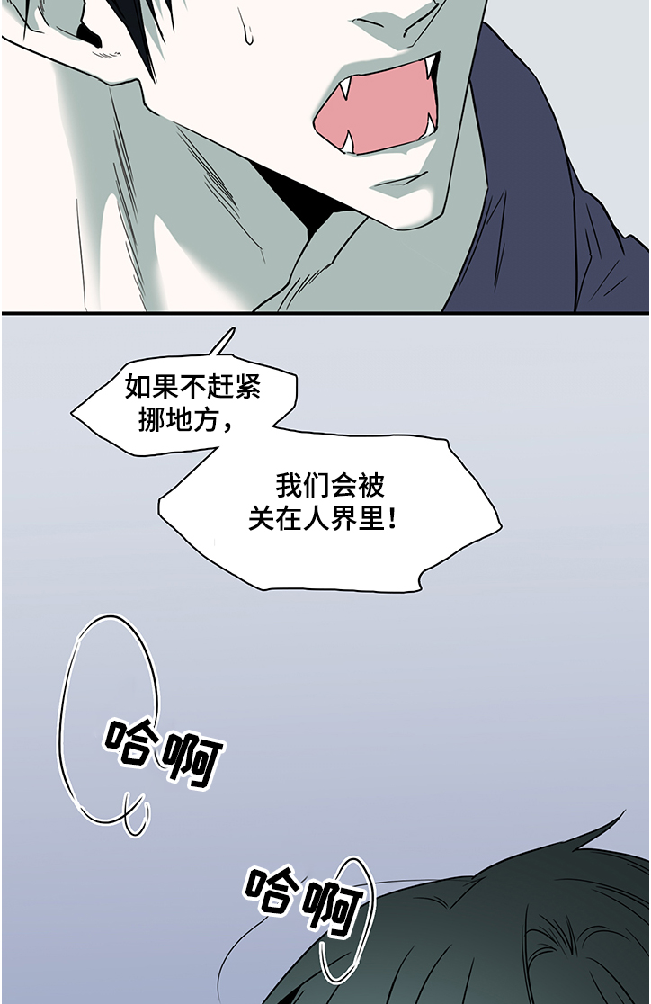 《黑夜撒旦》第227章没有守护的理由 第17页