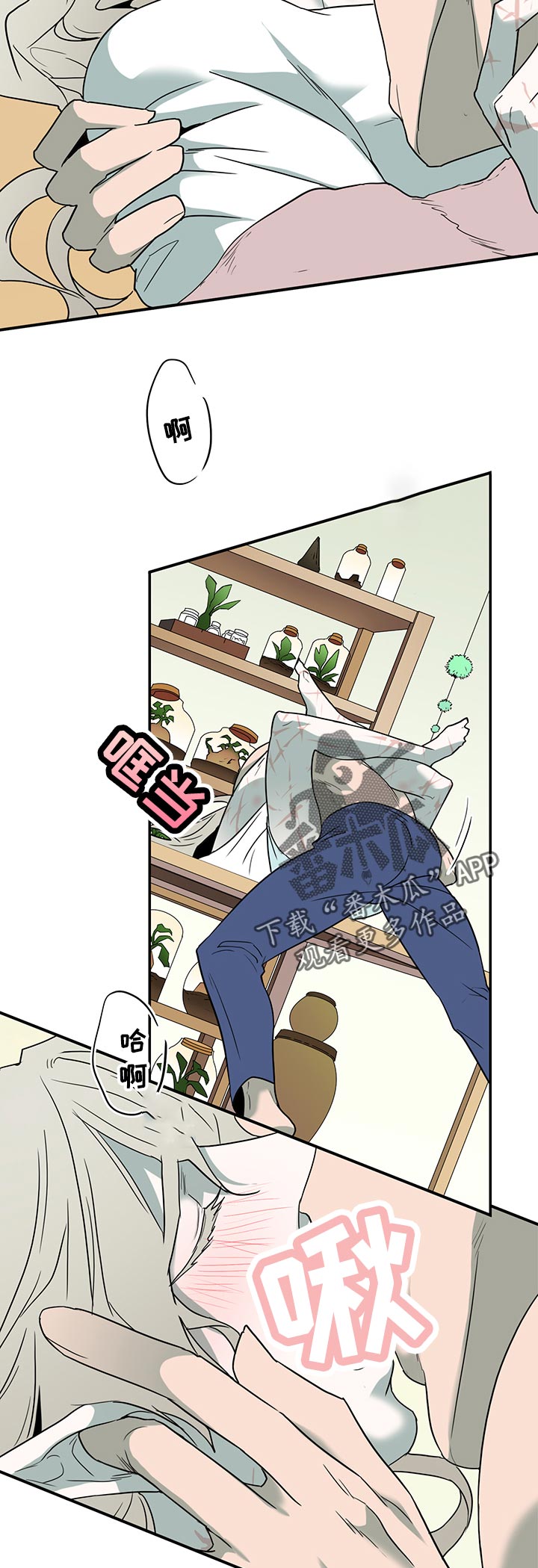 《黑夜撒旦》第169章停下 第2页