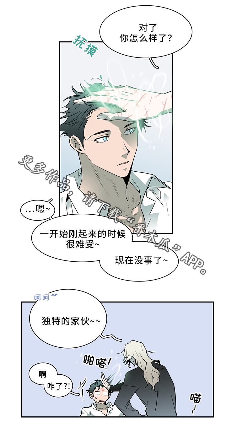 《黑夜撒旦》第94章那个笨蛋! 第13页