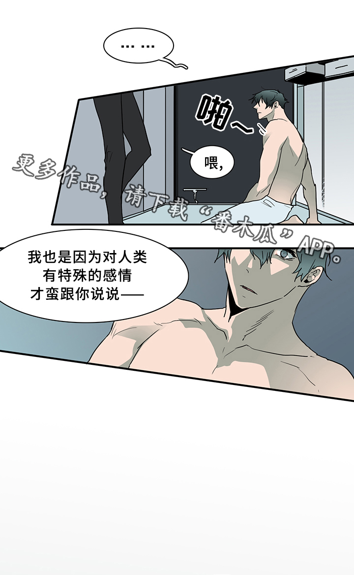 《黑夜撒旦》第79章谎言 第10页