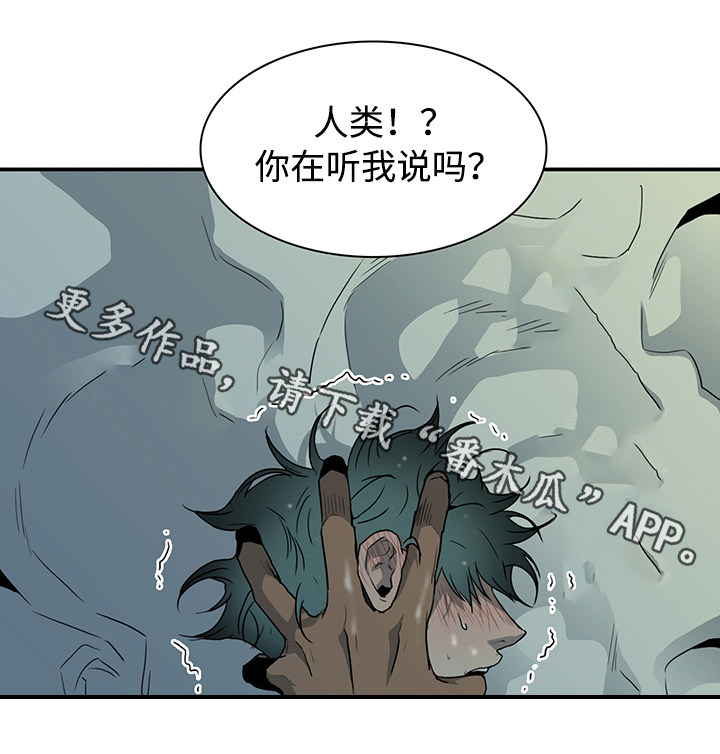 《黑夜撒旦》第45章回答问题 第9页