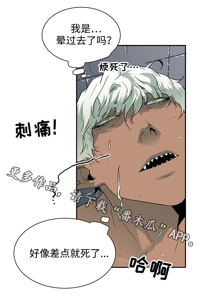 《黑夜撒旦》第44章苏醒 第2页