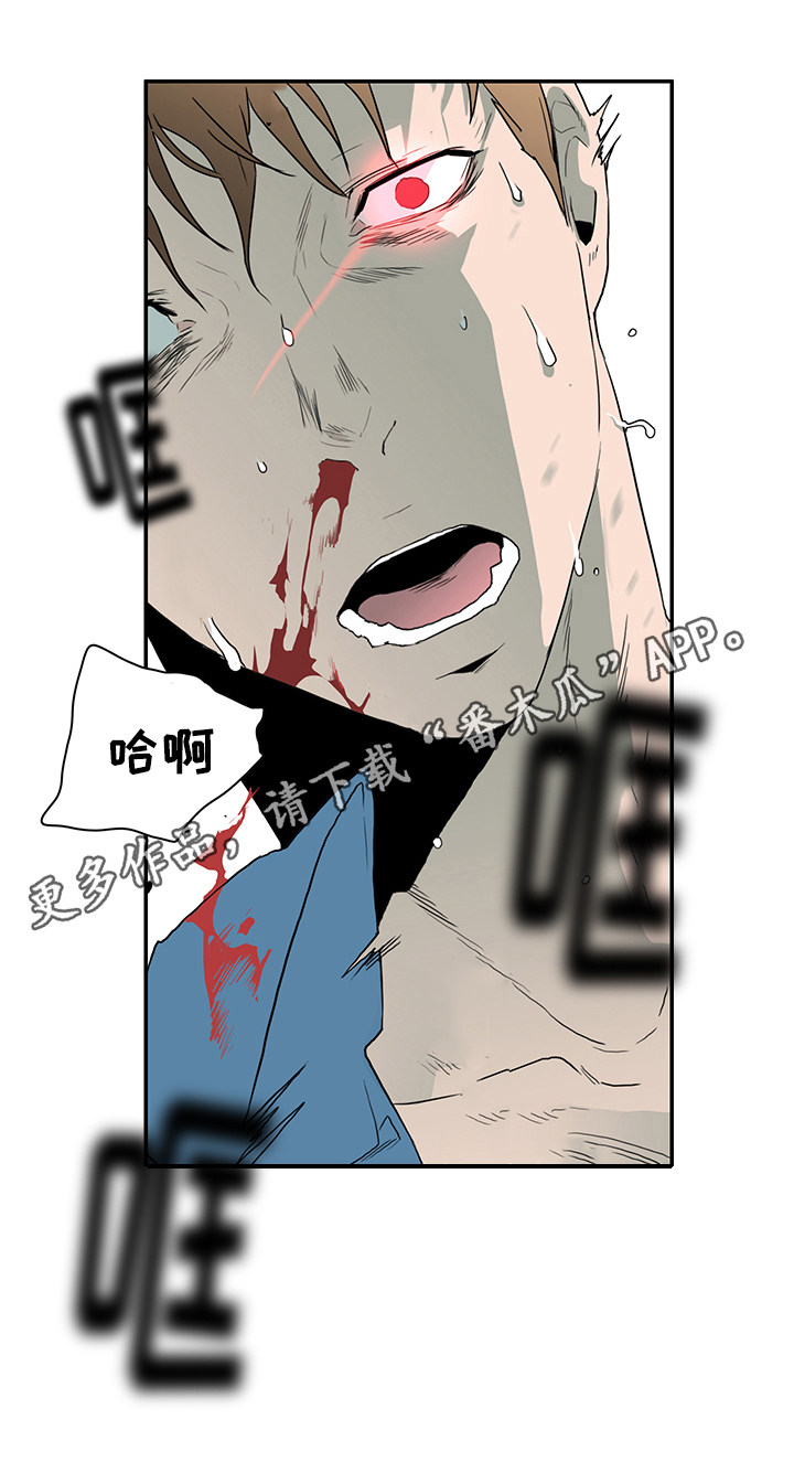 《黑夜撒旦》第23章幻术 第5页