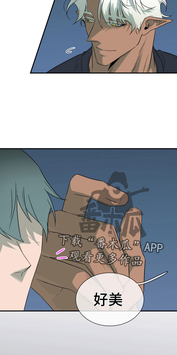 《黑焰纹章》第296章【番外】我帮你亲 第16页