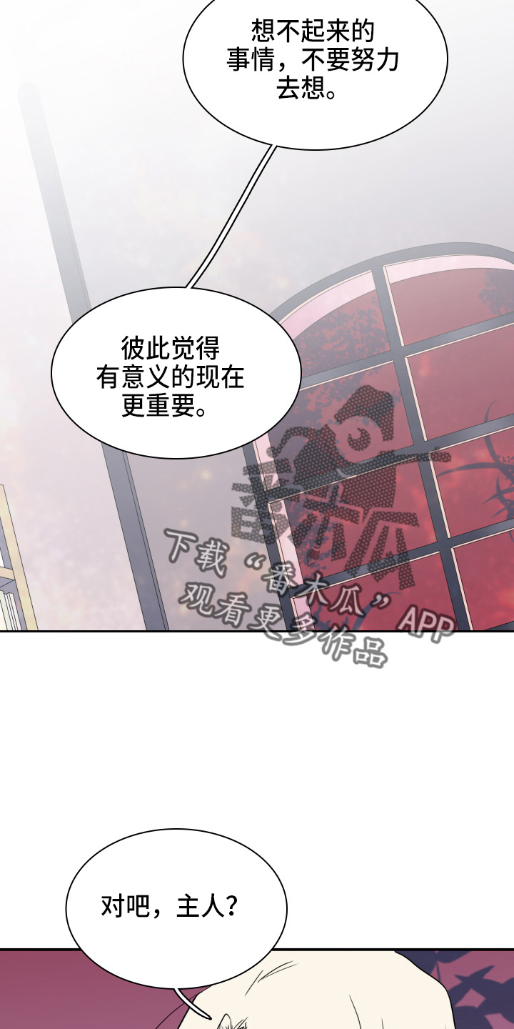 《黑焰纹章》第263章【番外】实现愿望 第19页