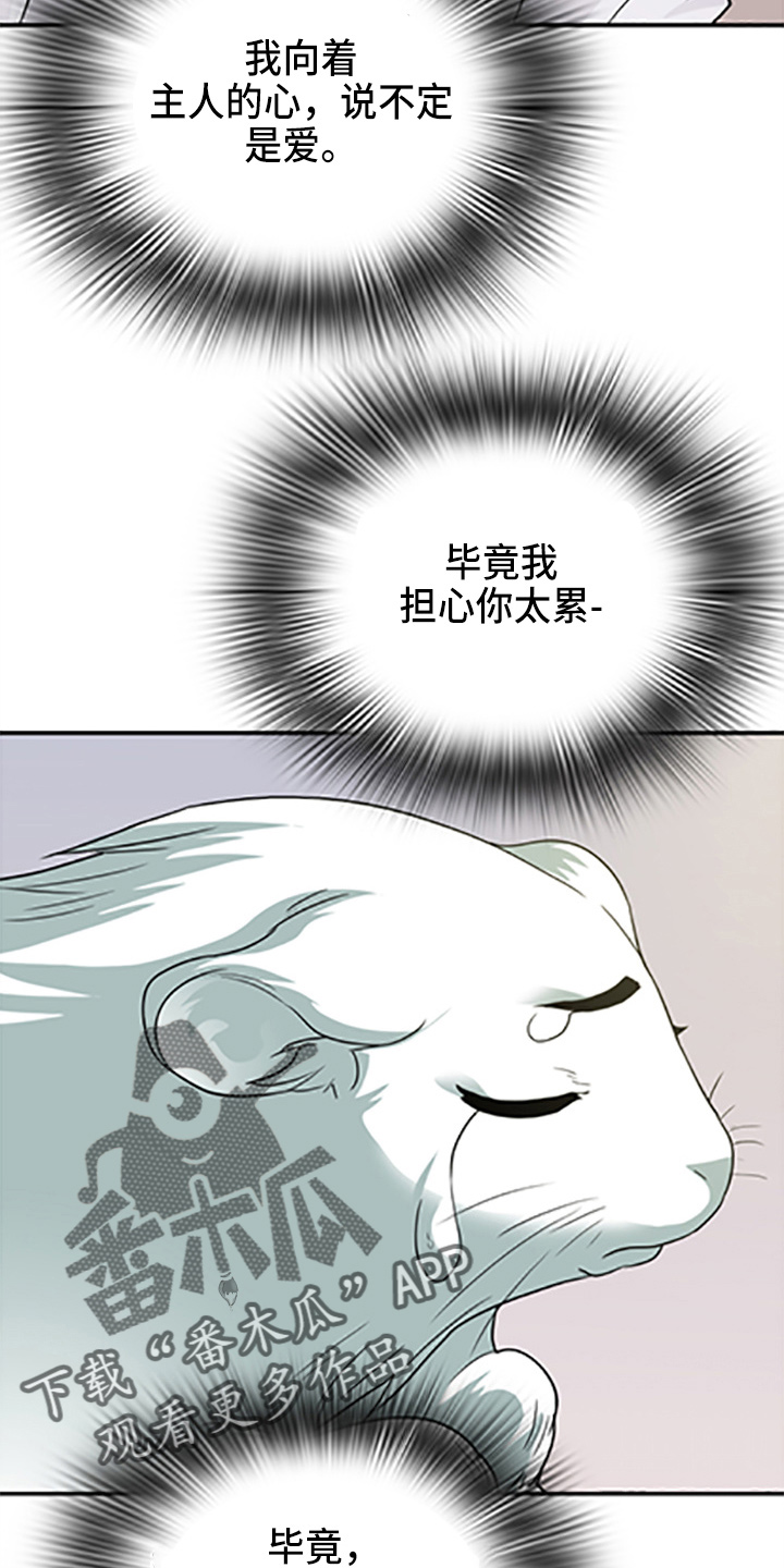 《黑焰纹章》第262章【番外】你谁啊 第17页