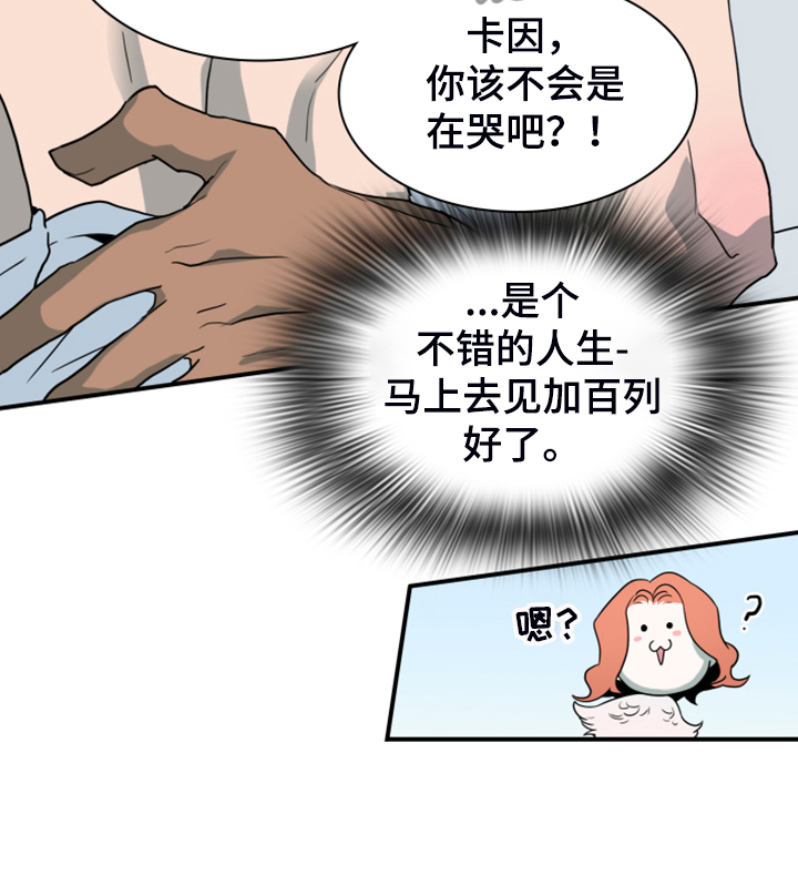 《黑焰纹章》第251章【番外】醉后惨状 第15页