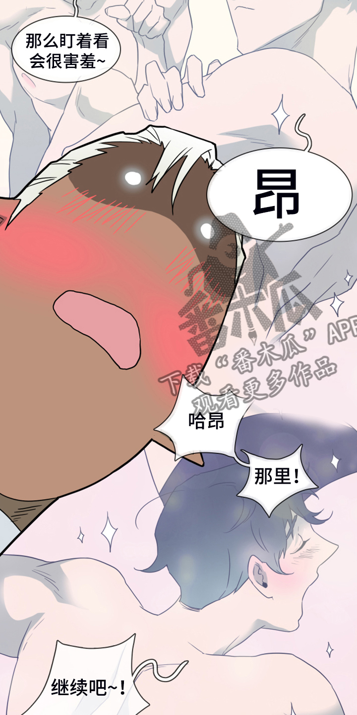 《黑焰纹章》第249章【番外】期待的洞房 第14页