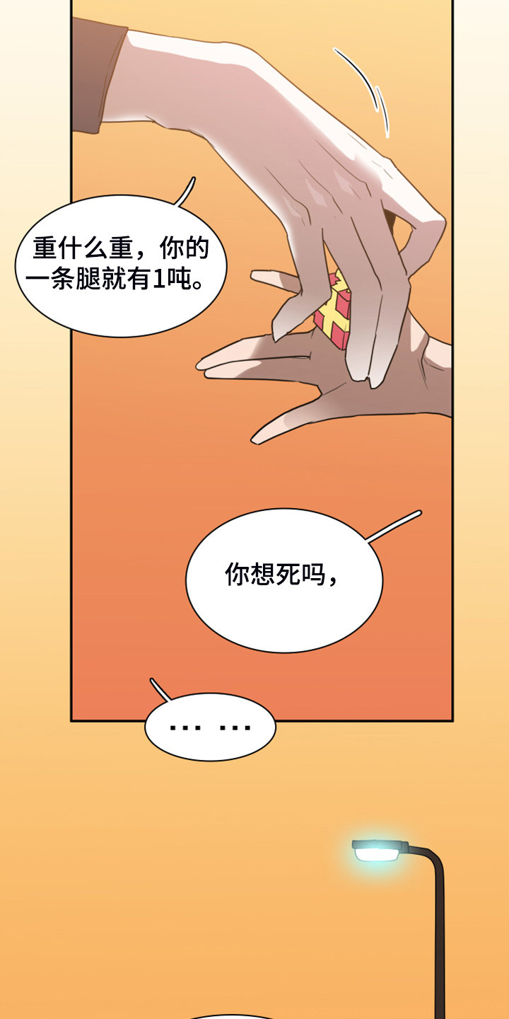 《黑焰纹章》第246章【完结】回归的人 第13页