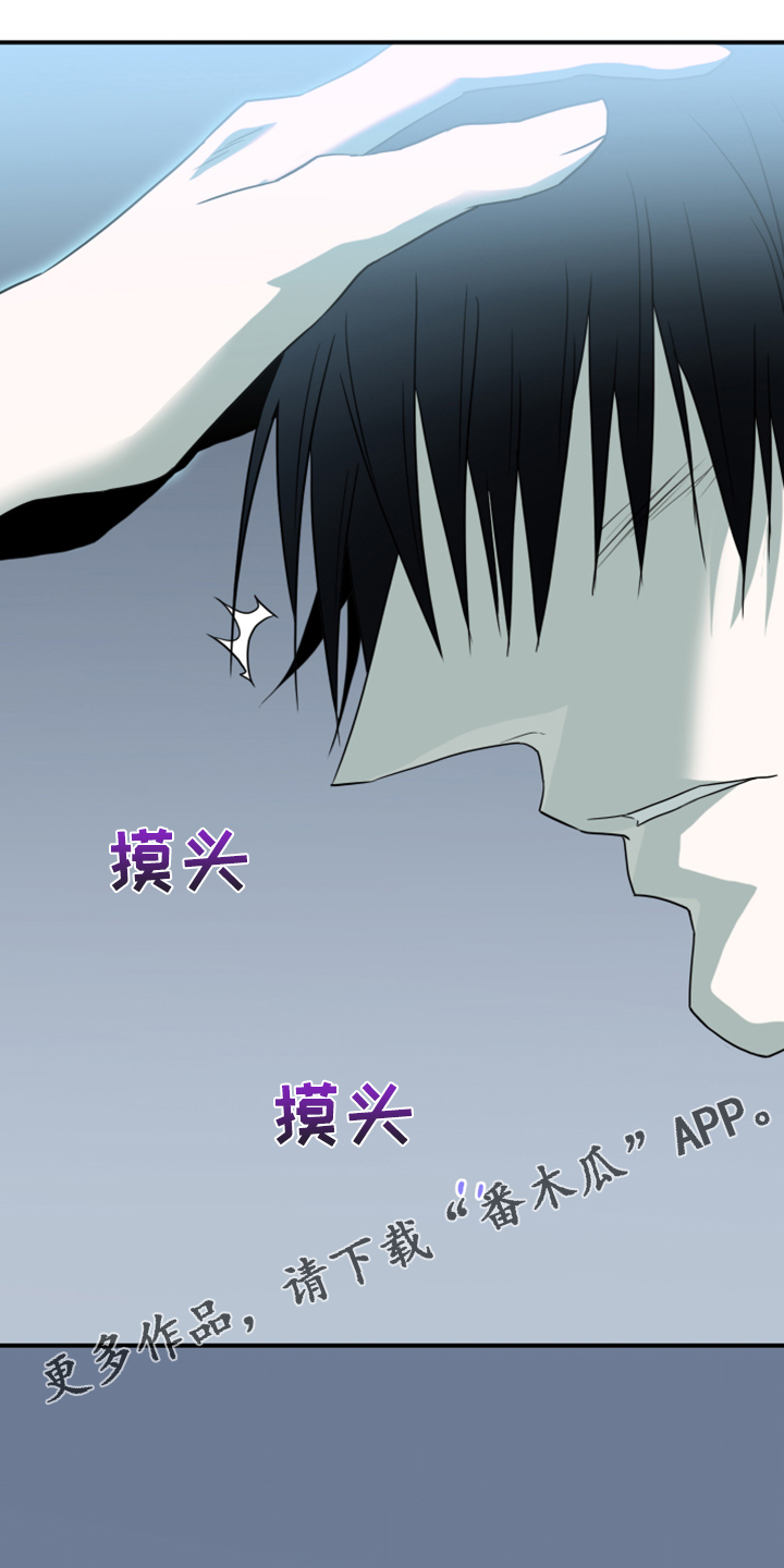 《黑焰纹章》第244章不要忘记我 第1页