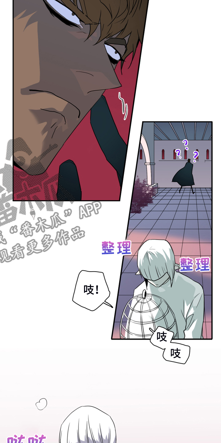 《黑焰纹章》第245章神性诞生 第34页