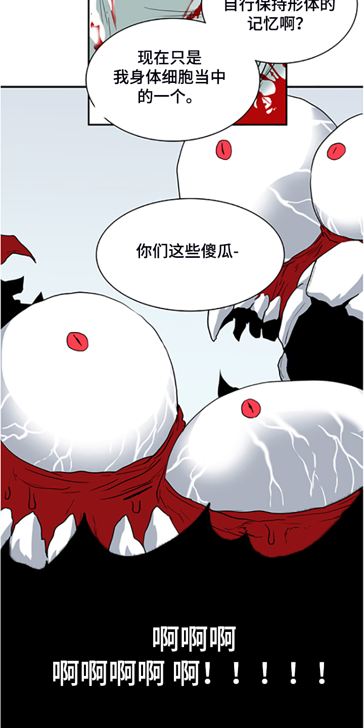 《黑焰纹章》第235章离去才明白 第14页