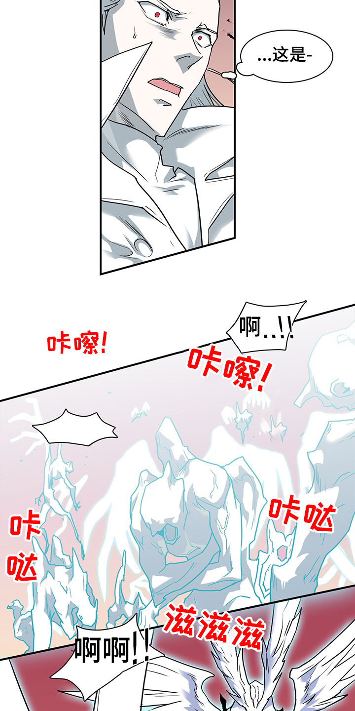 《黑焰纹章》第232章天使与恶魔的合作 第13页