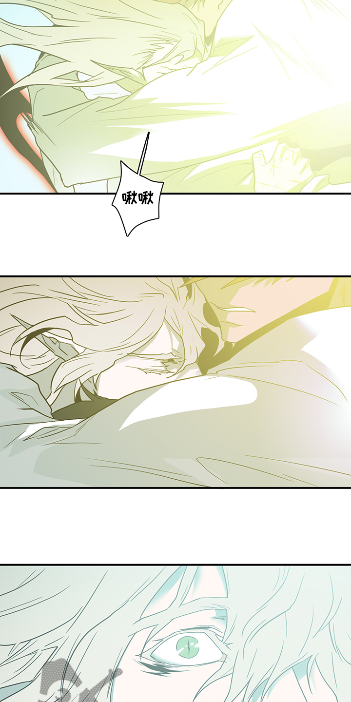 《黑焰纹章》第233章就这一次 第17页