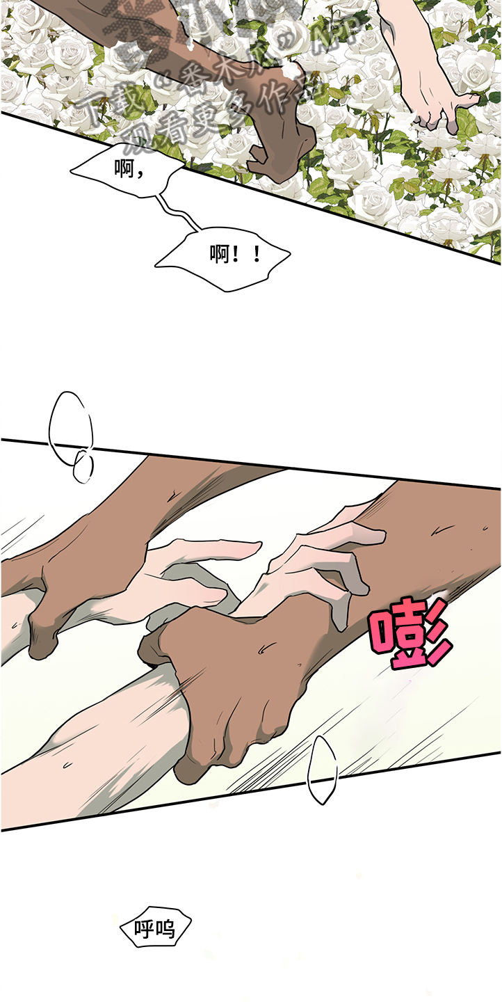 《黑焰纹章》第228章重回身体 第3页