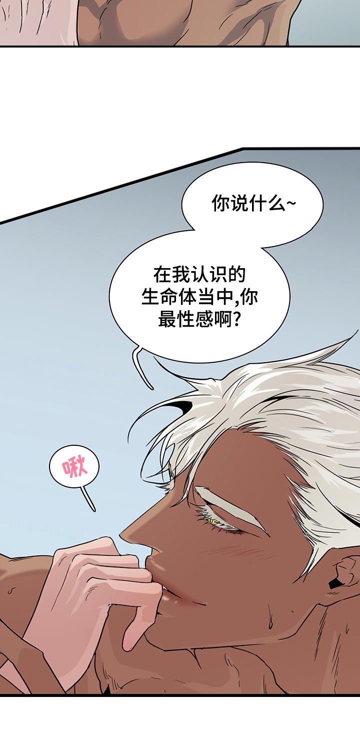 《黑焰纹章》第176章米迦勒 第6页