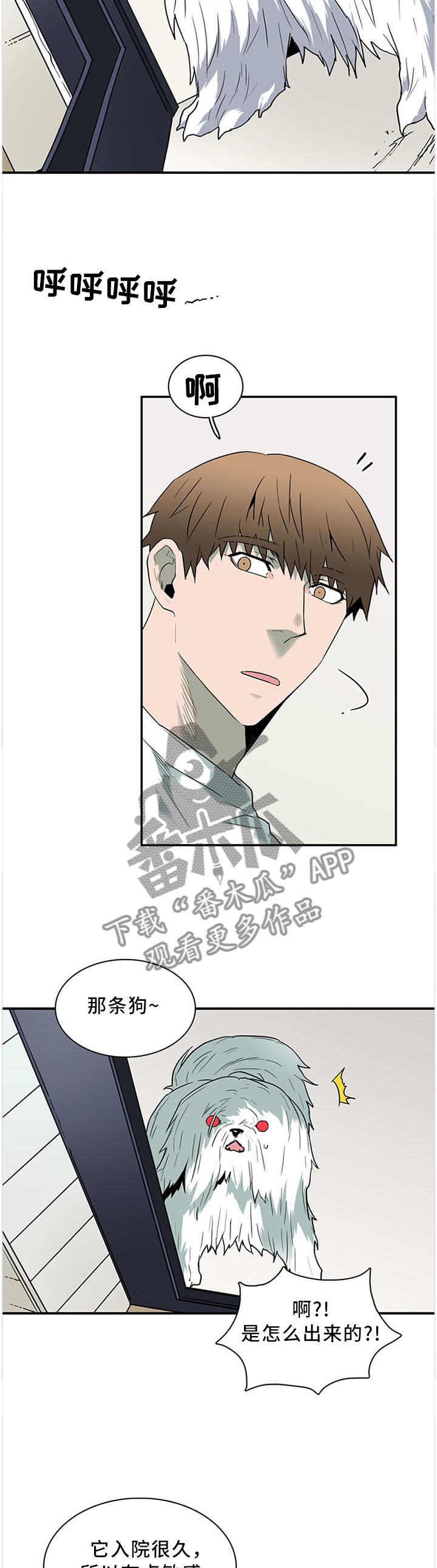 《黑焰纹章》第116章温暖的感觉 第2页