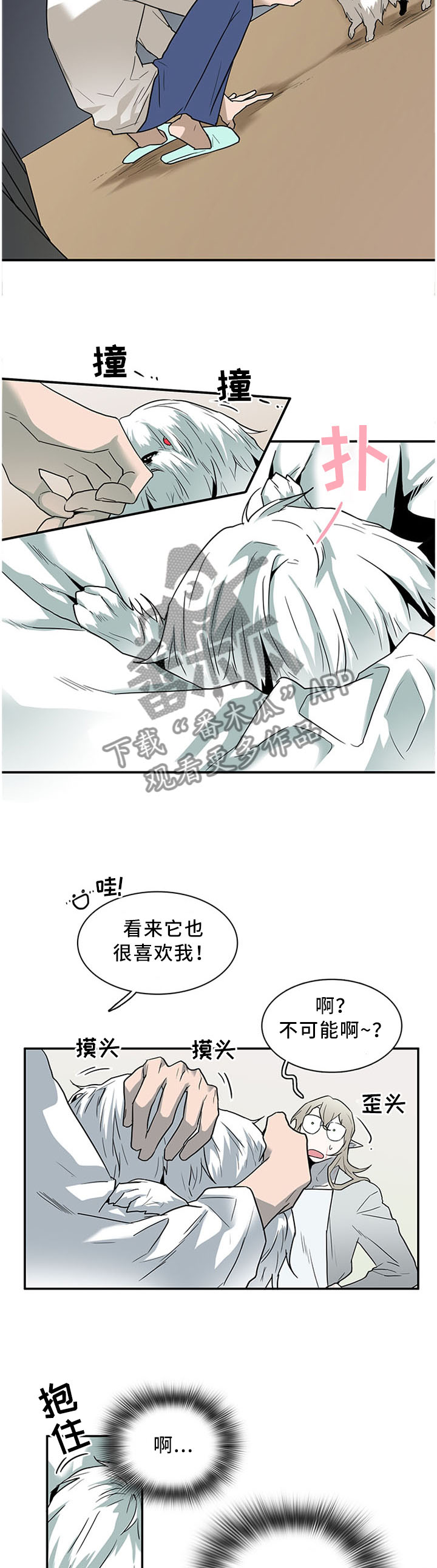 《黑焰纹章》第116章温暖的感觉 第7页