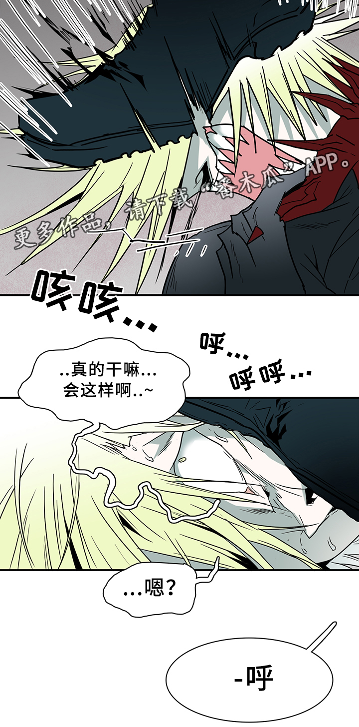《黑焰纹章》第97章奇怪的人 第14页