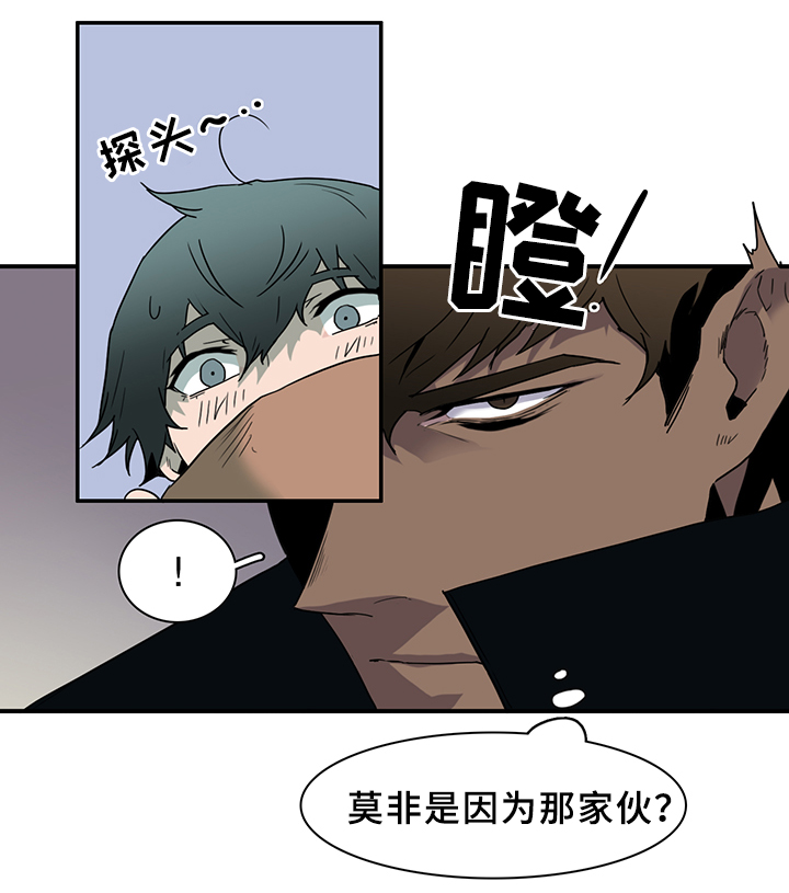 《黑焰纹章》第95章不留活口 第11页